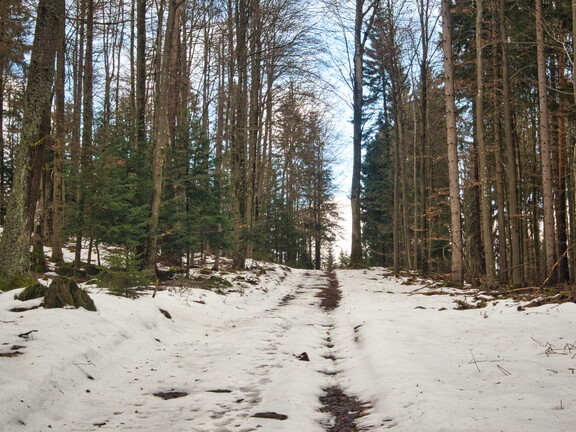 20220205202128-9f7dc5d2